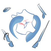 Logo new ligue